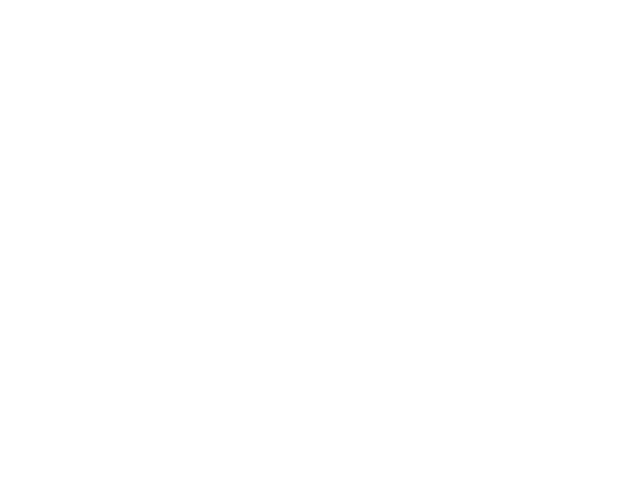 Madworks